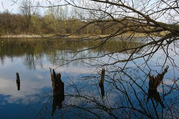 Bella Vista Sul Lago Nel Bosco — Foto Stock