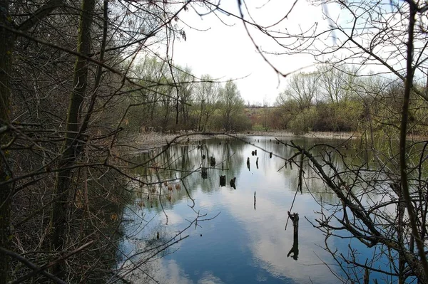 Parktaki nehrin güzel manzarası