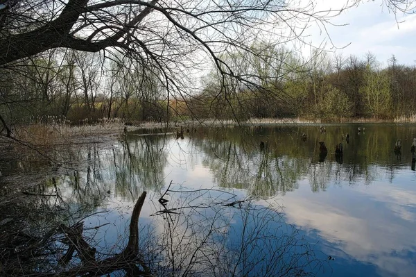 Arka planda nehir ve göl olan güzel bir manzara.
