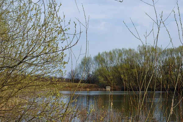 Bella Vista Sul Lago Nel Bosco — Foto Stock