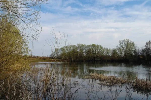 Bellissimo Paesaggio Primaverile Con Fiume — Foto Stock