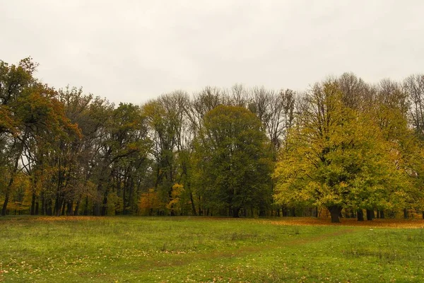 sonbahar ağaçlarıyla resmedilmiş manzara
