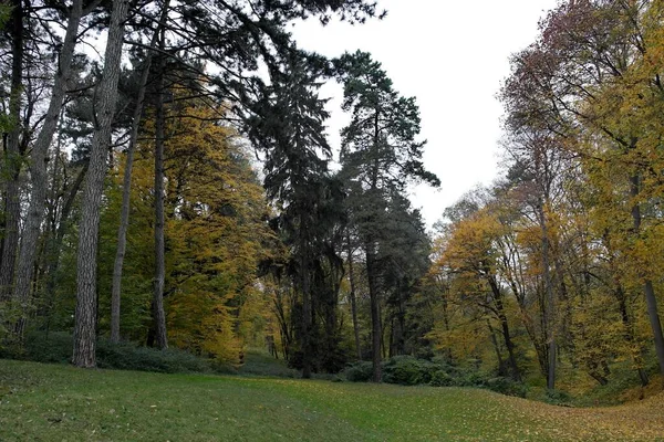 Malerische Landschaft Mit Herbstbäumen — Stockfoto