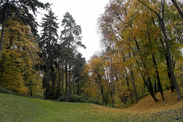 Paesaggio Pittoresco Con Alberi Autunnali — Foto Stock