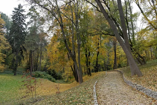 Weg Herbstlichen Park Mit Schönen Bäumen — Stockfoto
