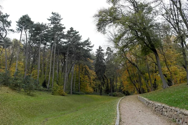 stock image picturesque landscape with autumn trees