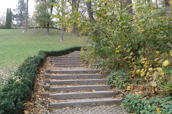 Beau Parc Automne Avec Arbres Escaliers — Photo