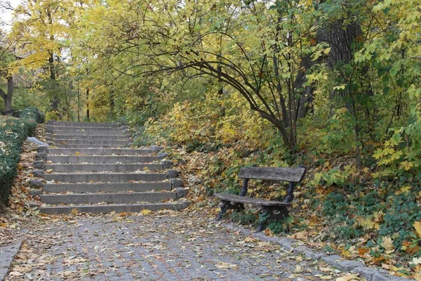 Parque Otoño Con Árboles Escaleras — Foto de Stock