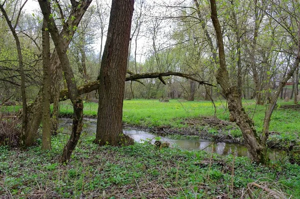 Doğanın güzel manzarası