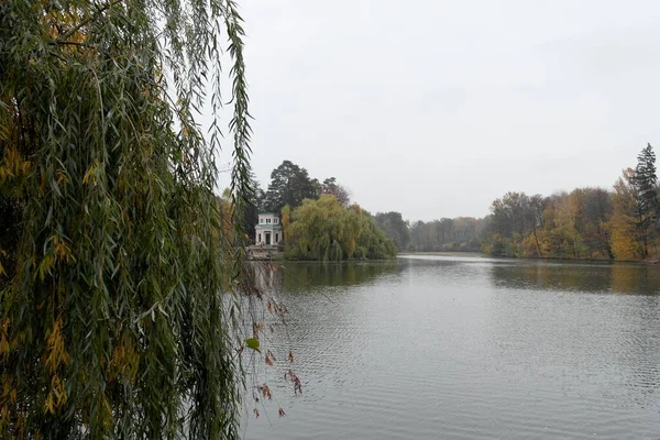 Güz ormanı manzarası güzel ağaçlar ve nehirlerle