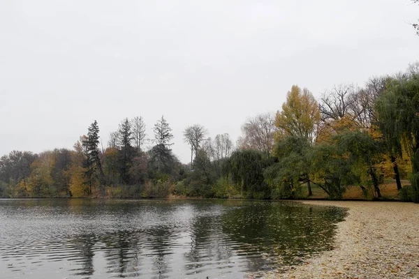 sonbahar ağaçlarıyla resmedilmiş manzara