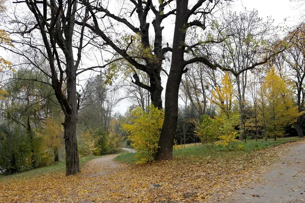 Paisagem Pitoresca Com Árvores Outono — Fotografia de Stock