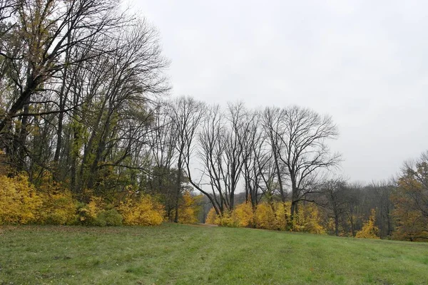 sonbahar ağaçlarıyla resmedilmiş manzara