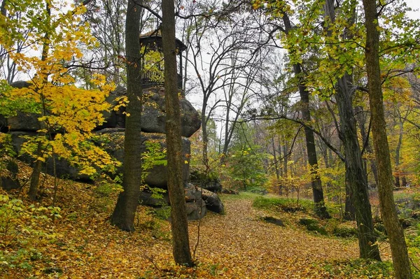 Piękny Widok Jesienny Las Duże Kamienie — Zdjęcie stockowe