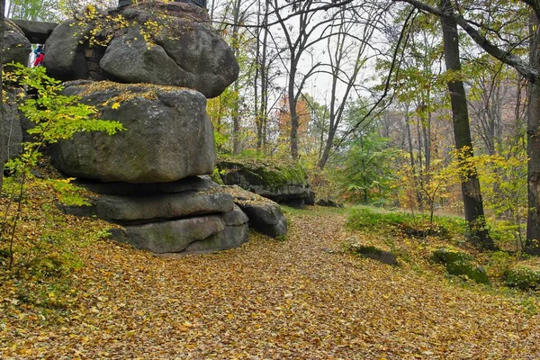 Piękny Widok Jesienny Las Duże Kamienie — Zdjęcie stockowe