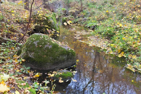 Vackert Landskap Höstskog — Stockfoto