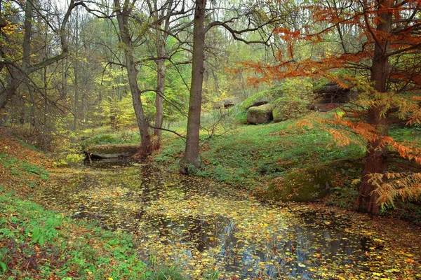 Paisaje Del Bosque Otoño Con Hermosos Árboles Río — Foto de Stock