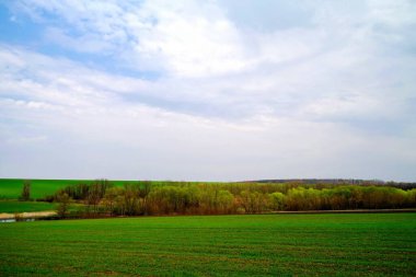 Yeşil çimen ve mavi gökyüzü olan güzel bir manzara.