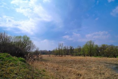 Ağaçları ve mavi gökyüzü olan güzel bir manzara.