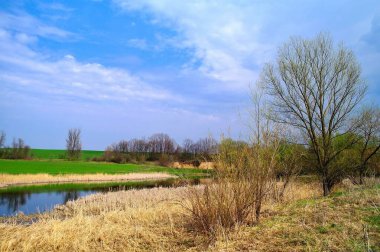 Nehir ve bahar ağaçlarıyla güzel bir yaz manzarası 