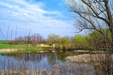 Nehir ve bahar ağaçlarıyla güzel bir yaz manzarası 