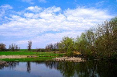 Nehir ve bahar ağaçlarıyla güzel bir yaz manzarası 
