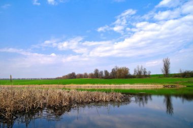 Nehir ve bahar ağaçlarıyla güzel bir yaz manzarası 