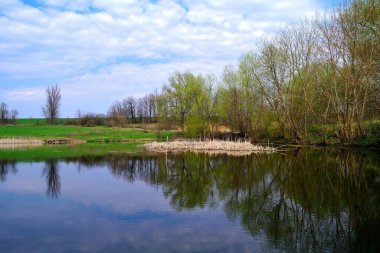 Nehir ve bahar ağaçlarıyla güzel bir yaz manzarası 