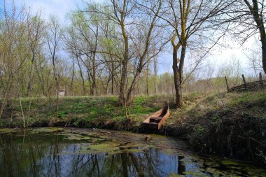 Nehir ve bahar ağaçlarıyla güzel bir yaz manzarası 