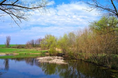 Nehir ve bahar ağaçlarıyla güzel bir yaz manzarası 