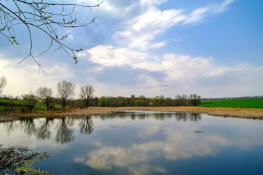 Nehir ve bahar ağaçlarıyla güzel bir yaz manzarası 