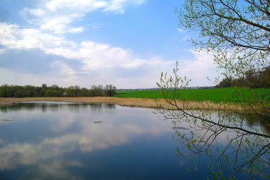 Nehir ve bahar ağaçlarıyla güzel bir yaz manzarası 