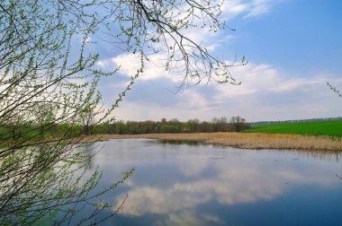 Nehir ve bahar ağaçlarıyla güzel bir yaz manzarası 