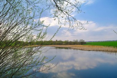 Nehir ve bahar ağaçlarıyla güzel bir yaz manzarası 