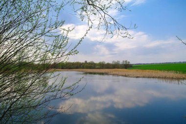 Nehir ve bahar ağaçlarıyla güzel bir yaz manzarası 