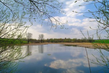 Nehir ve bahar ağaçlarıyla güzel bir yaz manzarası 