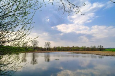 Nehir ve bahar ağaçlarıyla güzel bir yaz manzarası 