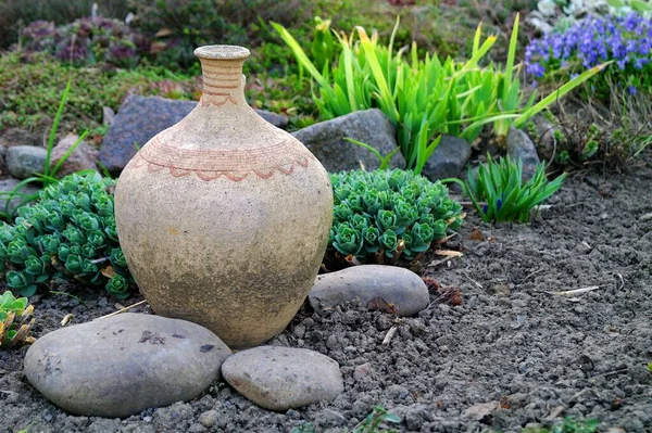 Güzel botanik fotoğrafı, doğal duvar kağıdı.