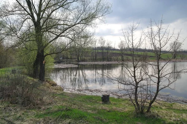 Bela Paisagem Com Lago Floresta Primavera — Fotografia de Stock