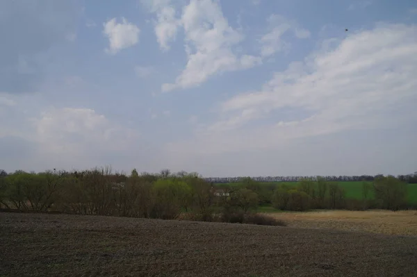 Schöne Ländliche Landschaft Mit Feld Einem Sonnigen Frühlingstag — Stockfoto
