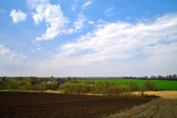 Güneşli bir bahar gününde tarlası olan güzel bir kırsal bölge.