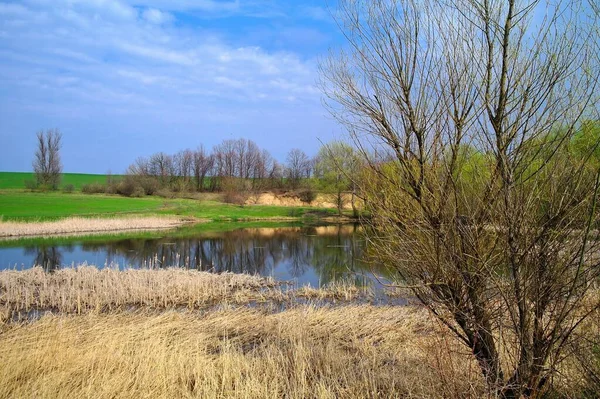 Prachtig Zomers Landschap Met Rivier Lentebomen — Stockfoto