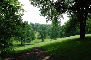 Yaz parkının güzel manzarası