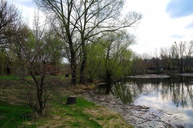 Nehir ve bahar ağaçlarıyla güzel bir yaz manzarası 