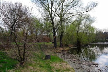 Parktaki nehrin güzel manzarası