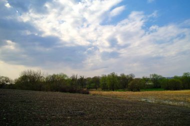 Güneşli bir bahar gününde tarlası olan güzel bir kırsal bölge.