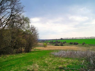 Yeşil tarlası ve bulutlu gökyüzü olan güzel bir manzara.