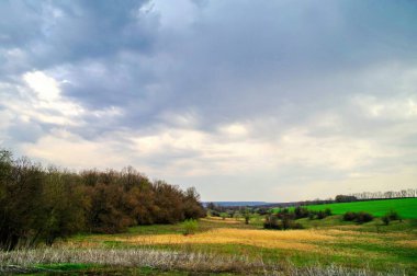 Kırsal alanda yeşil tarlalar ve bulutlu bir gökyüzü