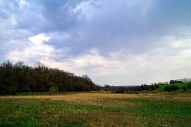 Yeşil tarlası ve bulutlu gökyüzü olan güzel bir manzara.