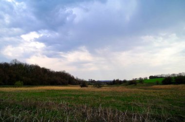 Yeşil tarlası ve bulutlu gökyüzü olan güzel bir manzara.
